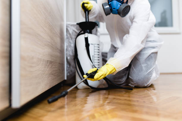 Best Cockroach Control Services  in Paris, TX