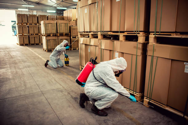 Best Pest Prevention Services  in Paris, TX