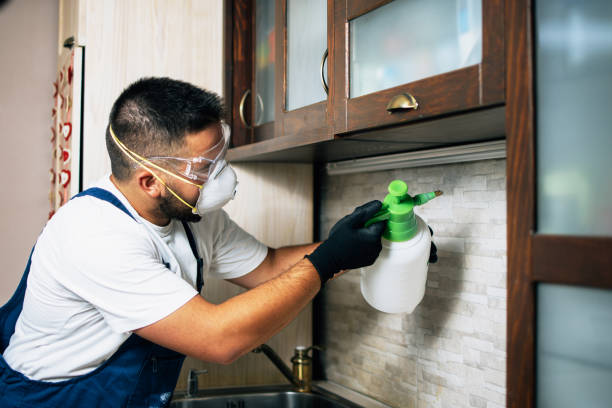  Paris, TX Pest Control Pros