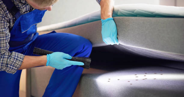 Best Commercial Pest Control Services  in Paris, TX