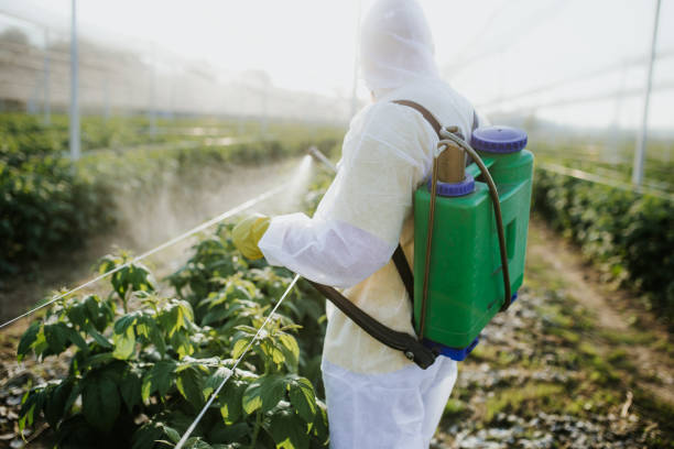 Paris, TX Pest Control Company